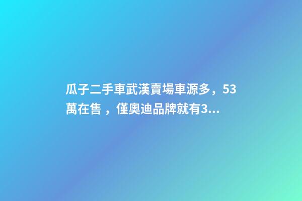 瓜子二手車武漢賣場車源多，5.3萬在售，僅奧迪品牌就有3000多輛